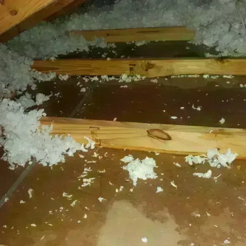 Attic Water Damage in Blowing Rock, NC